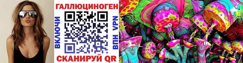 Купить закладки Бронницы Галлюциногенные грибы Psilocybe